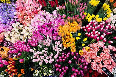 《帝国时代2决定版》新DLC公爵崛起8月推出 售49元