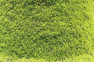 《漫威银河护卫队》开发日志展示角色的设计灵感